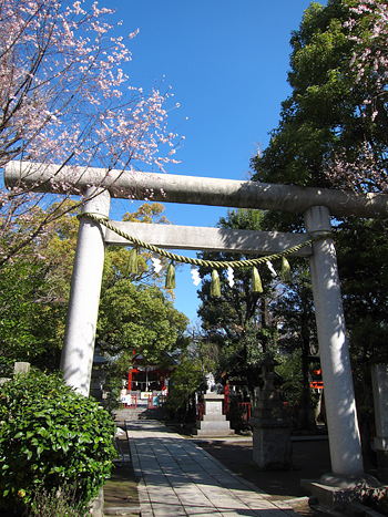 写真