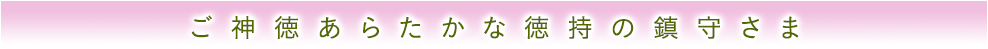 ご神徳あらたかな徳持の鎮守さま