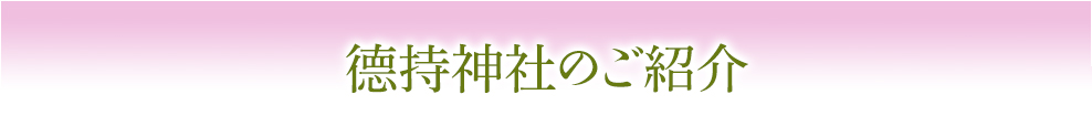 德持神社（徳持神社）のご紹介